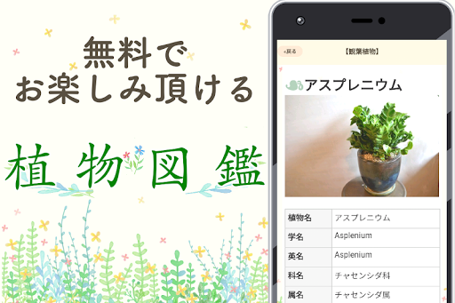 Download 植物 写真 名前 調べる 図鑑アプリ 観葉植物 サボテンの花 インテリア 多肉 花 ガーデニング Free For Android 植物 写真 名前 調べる 図鑑アプリ 観葉植物 サボテンの花 インテリア 多肉 花 ガーデニング Apk Download Steprimo Com