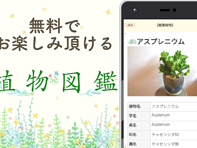 [ベスト] 植物 名前 286610-植物 名前 わからない