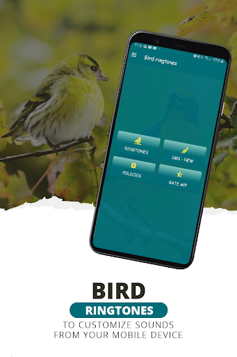 Android application Ringtones, bird sounds screenshort
