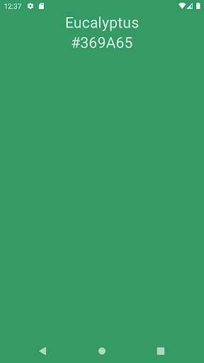 Android application Random Color screenshort