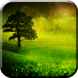 Rain In The Valley LiveWP icon