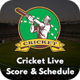 Cricket Live Score  -  CricLine icon
