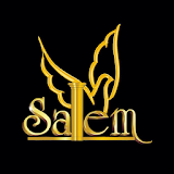 Salem Royals icon