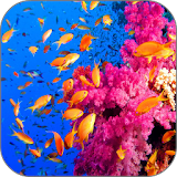 Coral Aquarium Video LWP icon