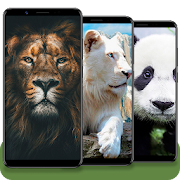 Top 38 Entertainment Apps Like ? 4K Animal Wallpapers HD - Best Alternatives