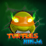 ninja adventure turtle icon