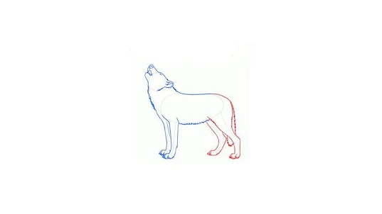 オオカミの描き方