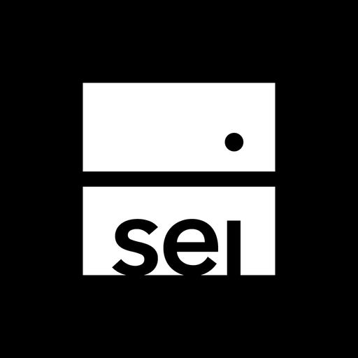 SEI Connect - Investor logo