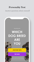 screenshot of Which Dog Breed Are You?