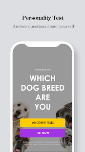 Which Dog Breed Are You?