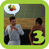 Guide for the Sims3 icon