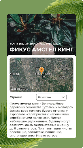 Оранжерея ГБС г. Алматы Screen 3