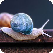 Top 20 Personalization Apps Like Snail Wallpaper - Best Alternatives