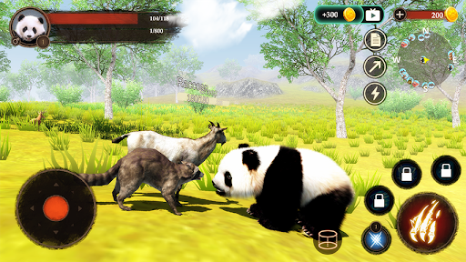 The Panda Screen 3