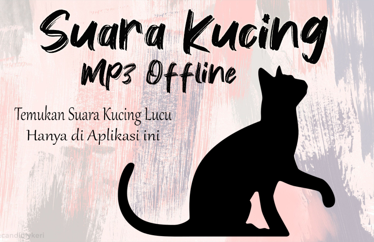 Suara Kucing Terbaru Offline Pour Android Apk Telecharger