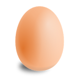 Egg Fast Tracker icon