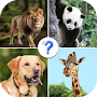 Guess The Animal: Animals Quiz