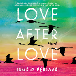 Icon image Love After Love: A Novel