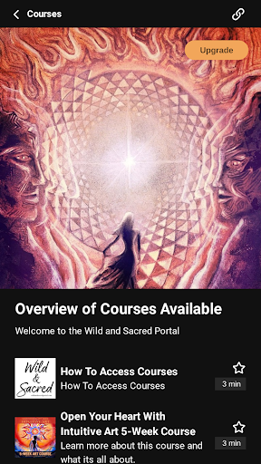 Wild and Sacred Screen 2