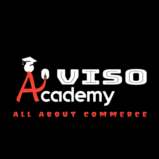 VISO logo