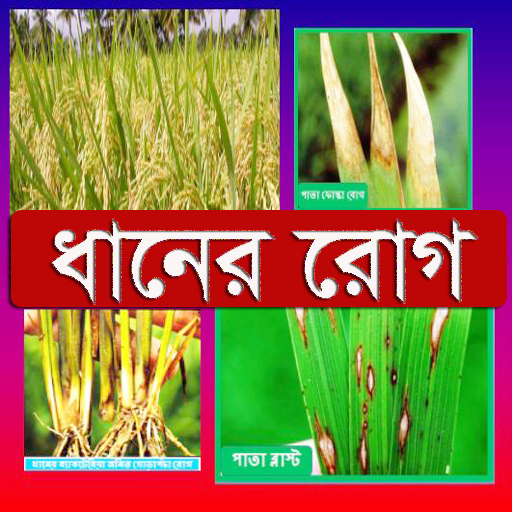 ধানের রোগ ~ Paddy Diseases logo