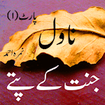 Cover Image of ดาวน์โหลด Jannat k pattay Urdu Novel  APK