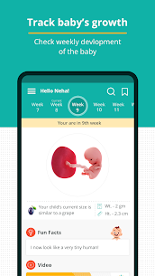 Pregnancy and Baby Tracker App 1