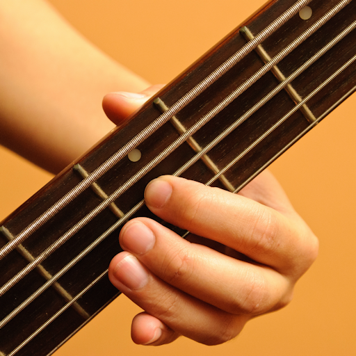 Learn to play Bass Guitar PRO 1.0.25 Icon