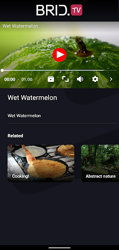 BridTV Screen 3
