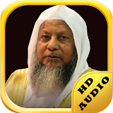 Mp3 Quran Audio Muhammad Ayyub icon
