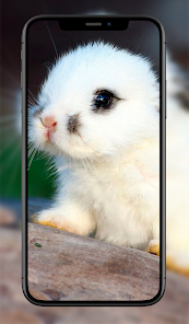 Captura 8 Fondos Animales Lindos android