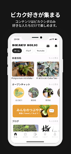 ビカクホリック Screen 2