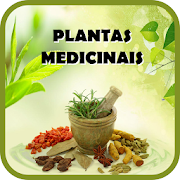Plantas Medicinais e seus usos - Remedios Caseiros