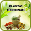 Plantas Medicinais e seus usos