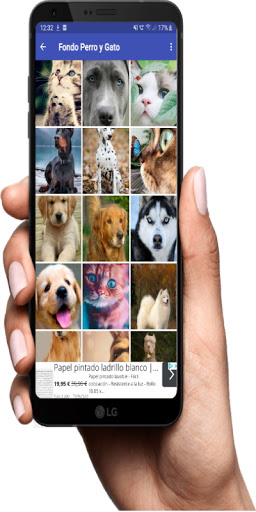 Fondo Pantalla Animales