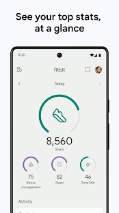 Fitbit Screenshot