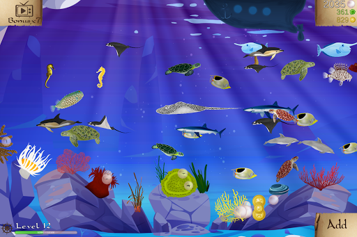 Coral Reef Screen 2