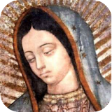 La Virgen Guadalupana Imagenes icon