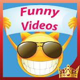 Funny Videos - WhatsappTube icon