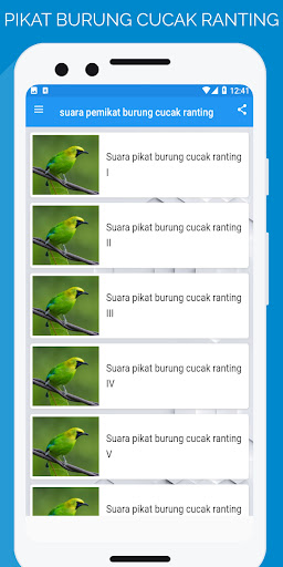 suara pikat cucak ranting Screen 2