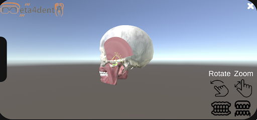 Meta4Denta_01 Screen 3