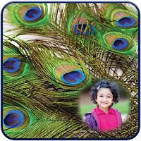 Peacock Feathers Photo Frames
