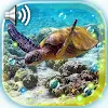 Download Tortoises Sea for PC [Windows 10/8/7 & Mac]