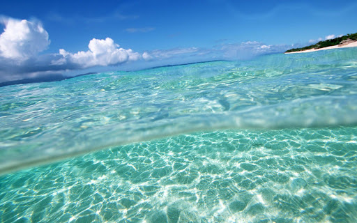 Android application Sea Picture Puzzle screenshort