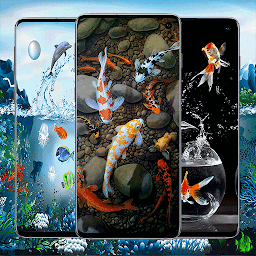 Icon image Koi Fish Live Wallpapers