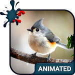 Cover Image of Download Bird Live Wallpaper + Keyboard  APK