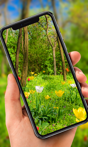 Android application Nature Live Wallpaper screenshort