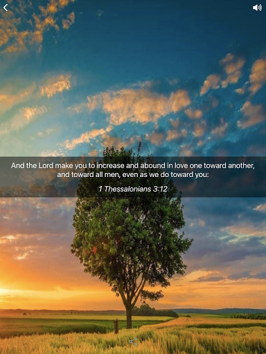 Biblical Meditation: Daily screenshot 10