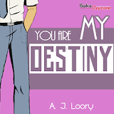 Novel You Are My Destiny icon