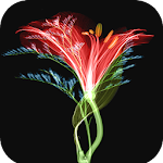 Cover Image of डाउनलोड 3D Flower Wallpaper 1.03 APK